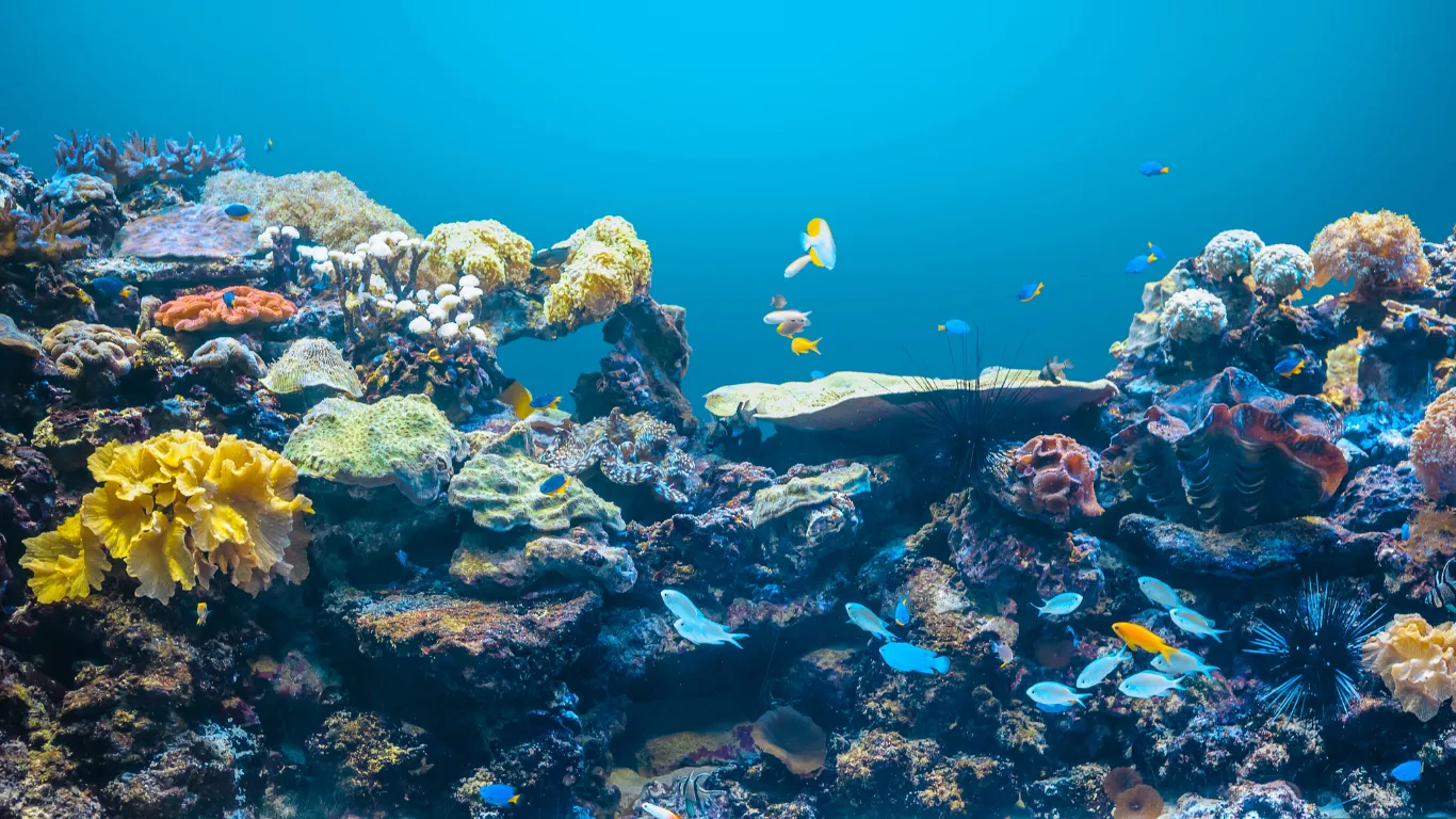 Chocolate Spice Cake